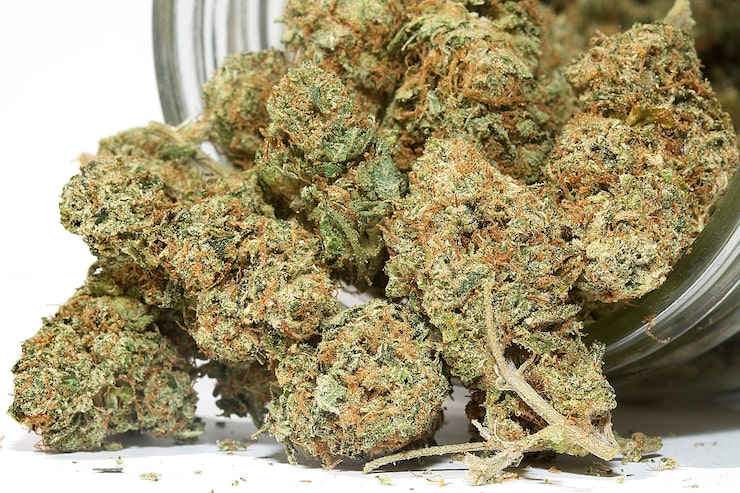 How to Buy Weed Online in Netherlands Safely (2026 Guide)