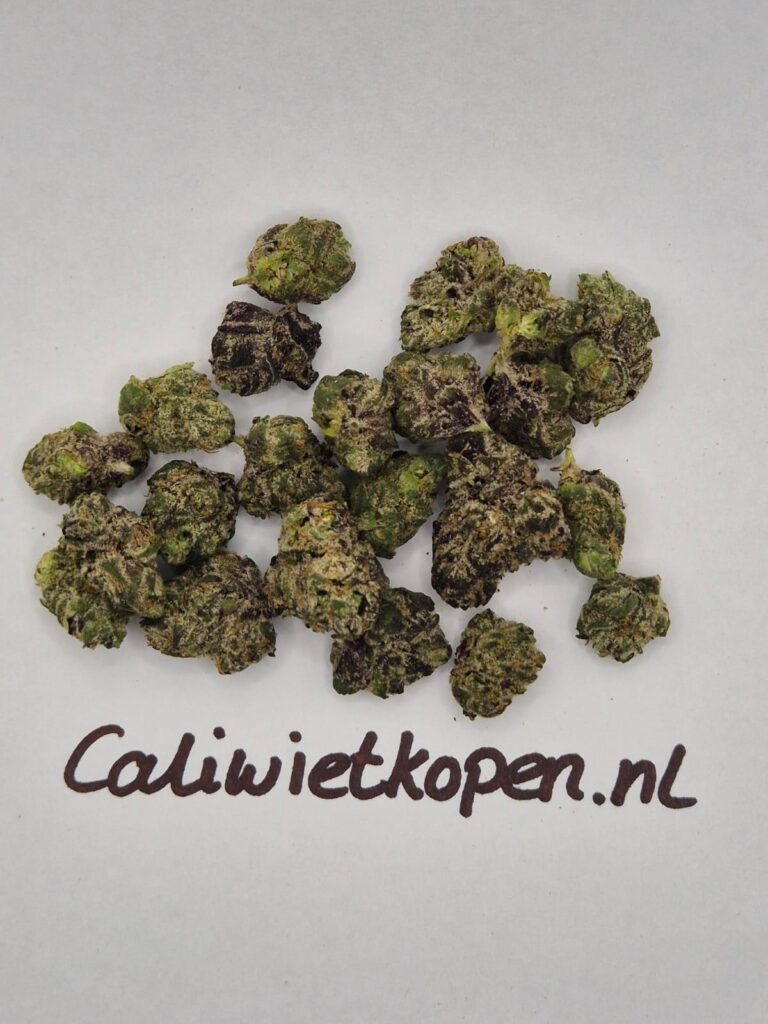 Best THC Edibles to Buy Online in Europe (2026 Guide)