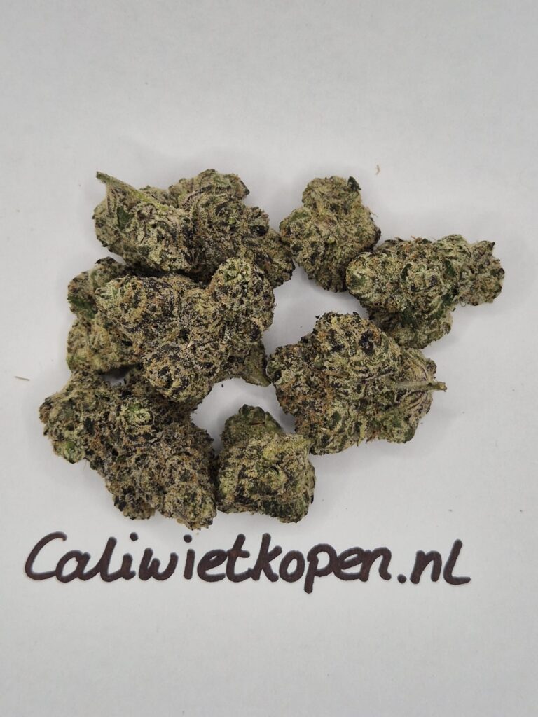 Buy Cannabis Online Netherlands Safely (Complete Guide 2026)