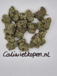 Blue Sweetheart - Image 2