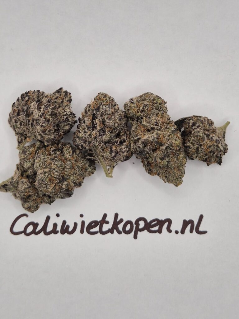 Buy Weed Online Europe: Complete Beginner Guide